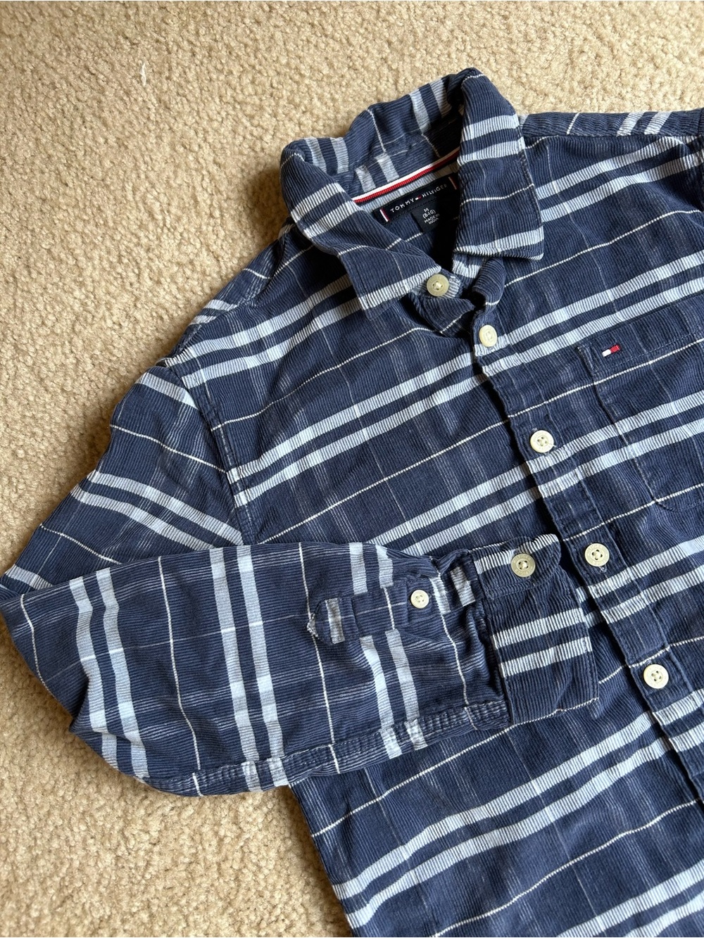 Tommy Hilfiger Boys Navy Blue Striped Button-Down Shirt